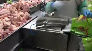 Brazil Frozen Chicken Exporters SIF Approved For Export to China, Asia, Middle East Africa & Europe