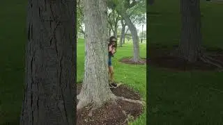 #evanston #chicago #tree #hiding #family #funtime