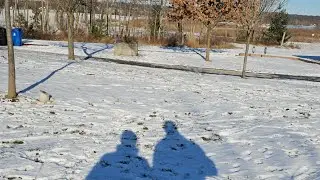 Lowest temperature but Beautiful Snowy Sunny day. #vlog #trending #winter #cold #canada #toronto 