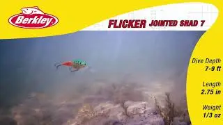 SCHEELS Exclusive Flicker Shad