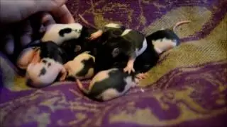 Delia Day 11