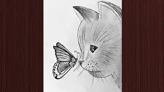 How to draw a cat with butterfly - Easy step by step drawing - Pencil Sketch Drawing