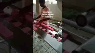 Foam Shiner, Bike Polish Shiner, Car Sponge Pouch Packing Machine Horizontal Type Centre Seal