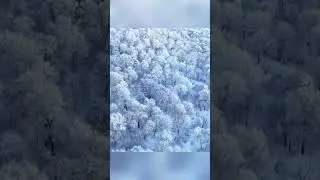 A frosty fairytale in Jilin's winter wonderland