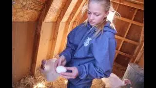 Future Farmers of America, Turkey Management