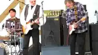 The Spotnicks- Johnny Guitar