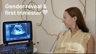 Gender reveal, first trimester, maternity haul + more!