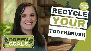 Recycle Your Toothbrushes with Preserve's Takeback Program | Green Goals
