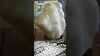 Unveiling the World's Largest Pearl: The $100 Million Treasure of the Philippines #facts #short