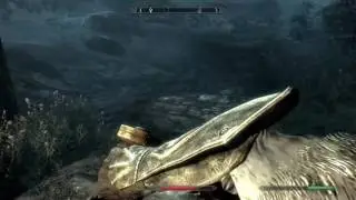 Skyrim The Adventures Of Snowball the dragonborn off to get the nettle thing #13