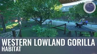 Western Lowland Gorilla Habitat | Malu Zoo | Speed Build | Planet Zoo | Ep. 17