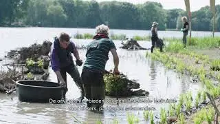 Maatregelen Delftse Hout