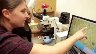 Curiosity in Science