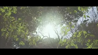 東京都庭園美術館 開館40周年記念 総集編ムービー｜TEIEN 40th Anniversary Compilation Movie