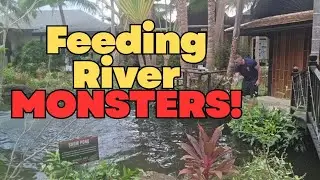 Jurassic Fishing Park MONSTERS! - Hua Hin, Thailand 