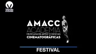 ✨ Premios Ariel 2025 | Conoce a los grandes ganadores 🥇
