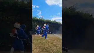 Sin Plagas Fumigaciones 2023