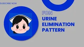 Urine Elimination Pattern | Fundamental of Nursing | Conceptual Nursing Academy