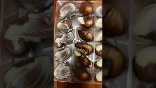 Seashell Chocolate #chocolate  #Guylian chocolate #short