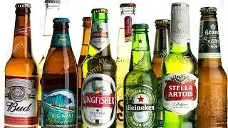 Top 10 Best Beer Brands in India