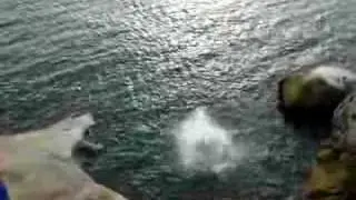 watson's bay