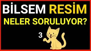 Bilsem Resimde Ne Soruluyor? | Örnek Sorular #3