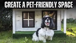 How To Create A Perfect Home Environment For Your Pet