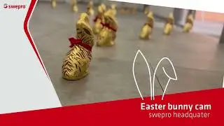 Happy Eastern with swepro