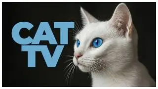 Cat TV Underwater 🌊 Fish & Calming Music for Cats | 6 Hour Cat Entertainment