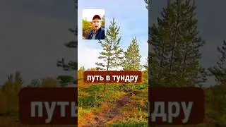 Мурманск: тропа в тундре на Мурманский лабиринт #насевережить Воронцолог Travel