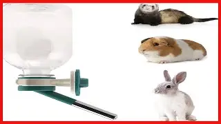 Choco Nose Patented No Drip Water BottleFeeder for Guinea PigsHamstersBunniesFerrets Other