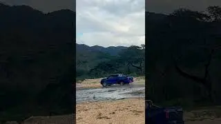 GWM P-Series Pickup #4x4 #gwmpseries #4wdja