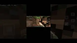 Pov: When you speedrun in Minecraft ||