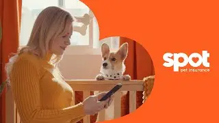 'Fur Baby' (Extended) | Spot Pet Insurance