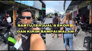 Sabtu sampai malam jalur sat set