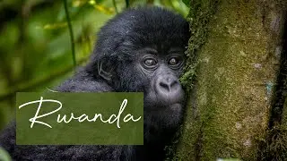 Rwanda - 'Remarkable Rwanda'