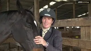 Thoroughbreds In Equestrian Sports Series
