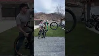 Norco aurum