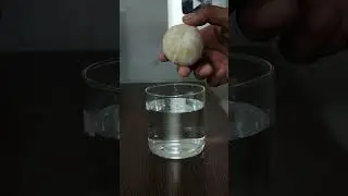 Why Sweet Lemon Float in Water 🍋🍋 | Learn Practically