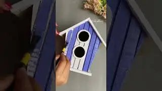 How to make bird house #youtubeshorts #shorts #diy #birdhouse