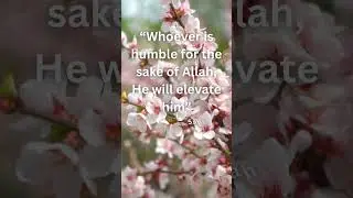 How did Prophet Muhammad ﷺ define true greatness #HadithOfTheDay #IslamicWisdom