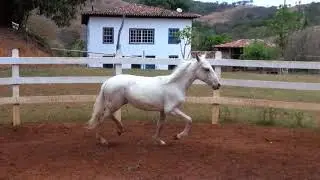 Brasil Fermag