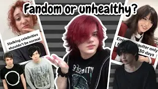 When Fandom Turns Unhealthy