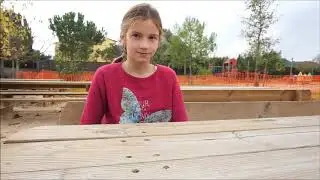 Projecte Aicle