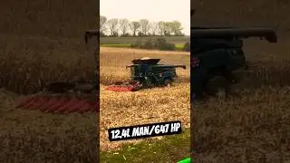 M.Ferguson IDEAL 8T threshing corn at Germany 🌽 #shorts