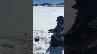 This Heat Is Making Me Miss The Ice: Ice Fishing Colorado: Hot Days: Salmon: #fishing #shorts #fish