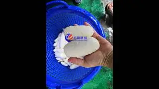 Automatic Cassava Peeling Machine Cassava Peeling and Washing Machine Hygienic Commercial Peeler