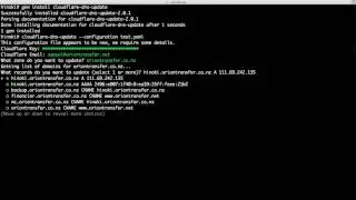 Cloudflare DNS Update