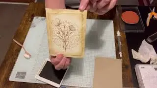 Stampin' Up! /Spotlight on Nature