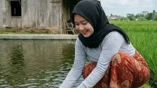 Menikmati Trip Perjalanan Pedesaaan di Kecamatan Margasari -Tegal 